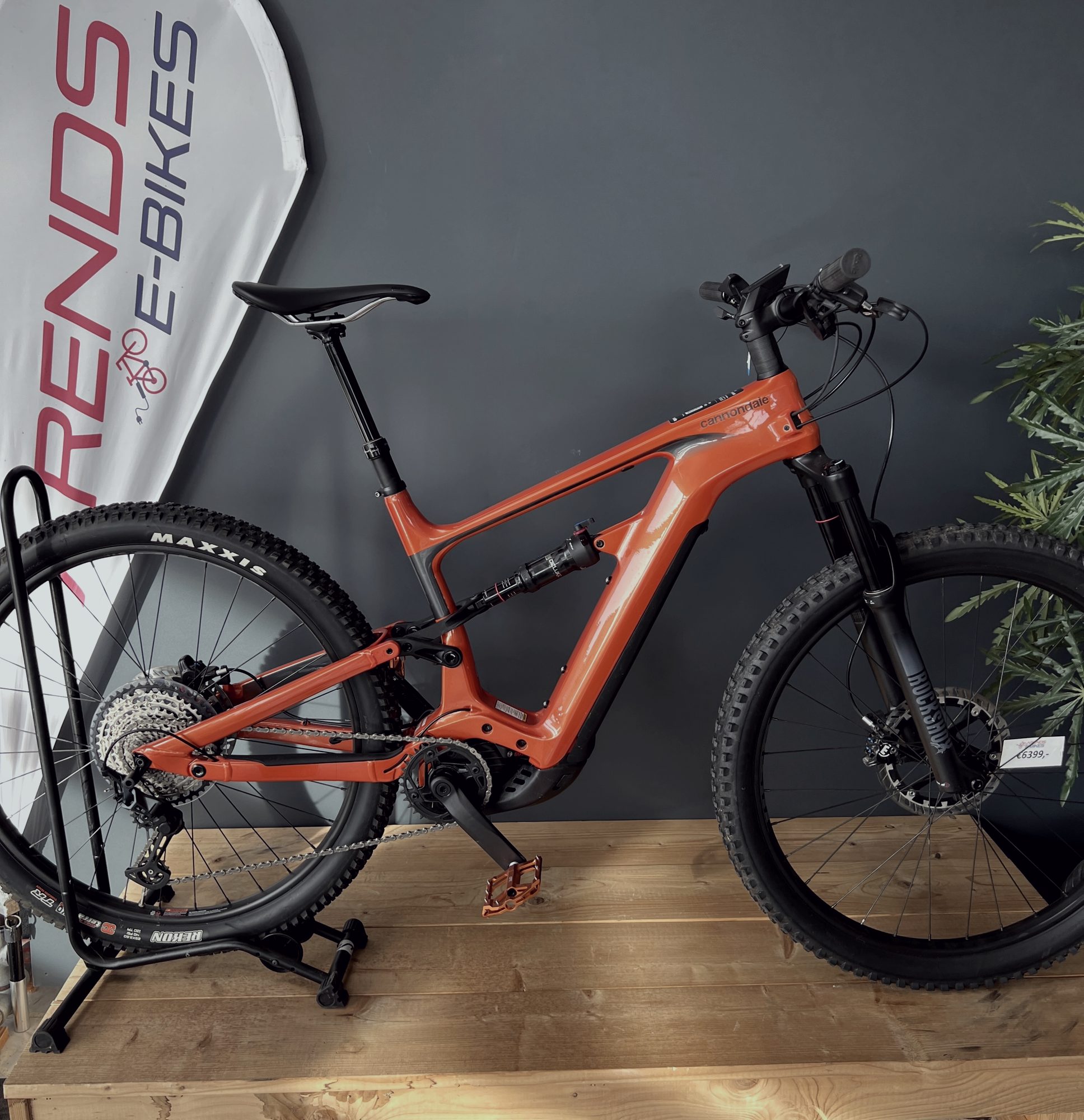Performance E-Bike